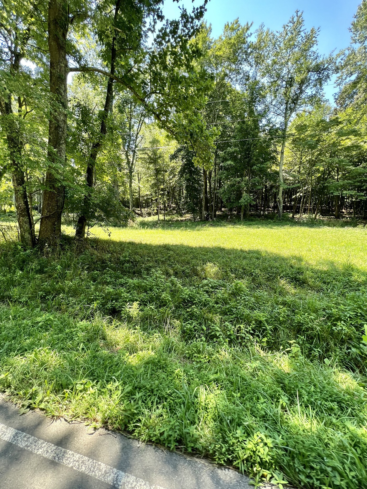 0 Keytown Road Portland, TN 37148 - Photo 4 of 12