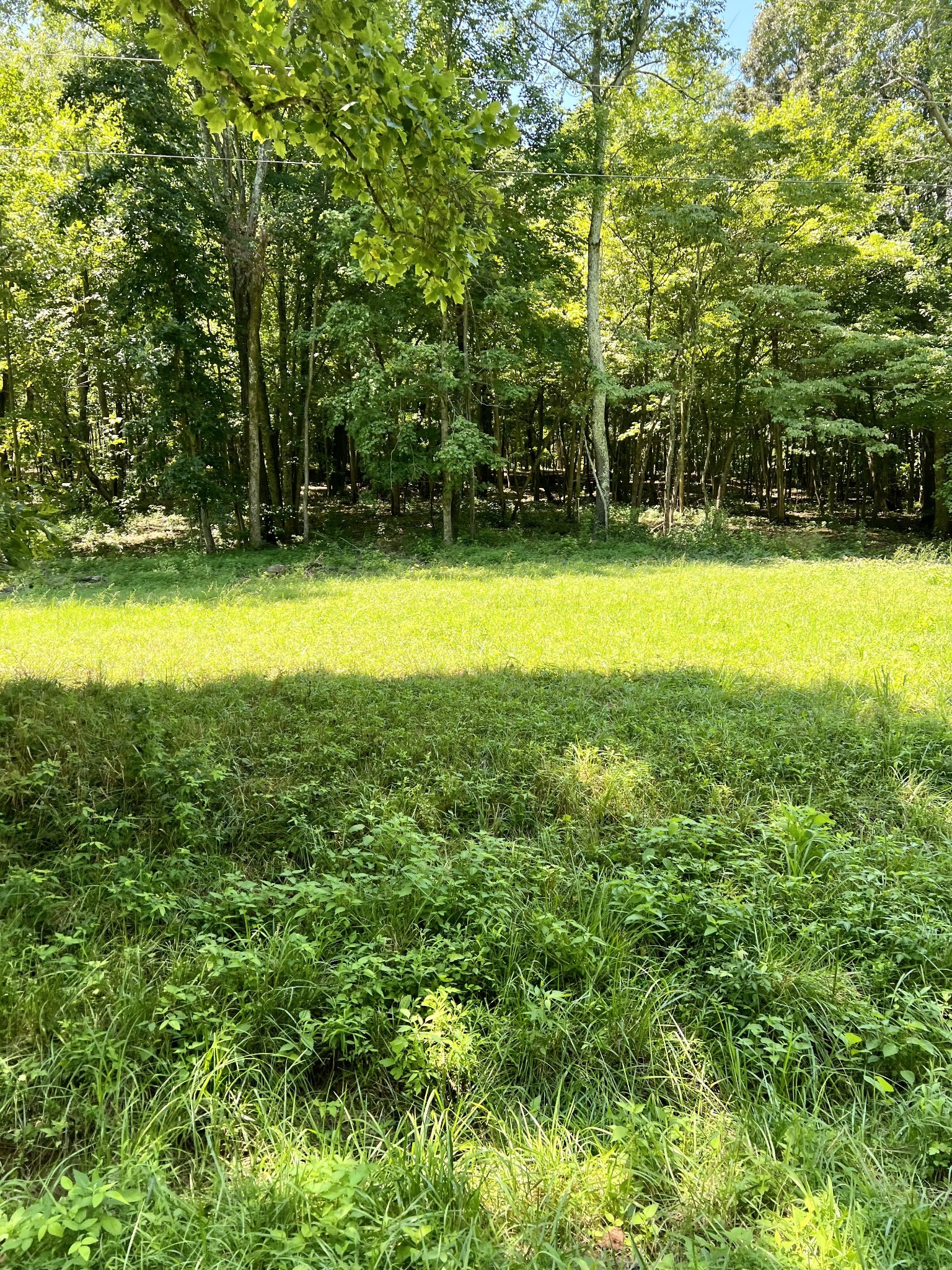 0 Keytown Road Portland, TN 37148 - Photo 5 of 12