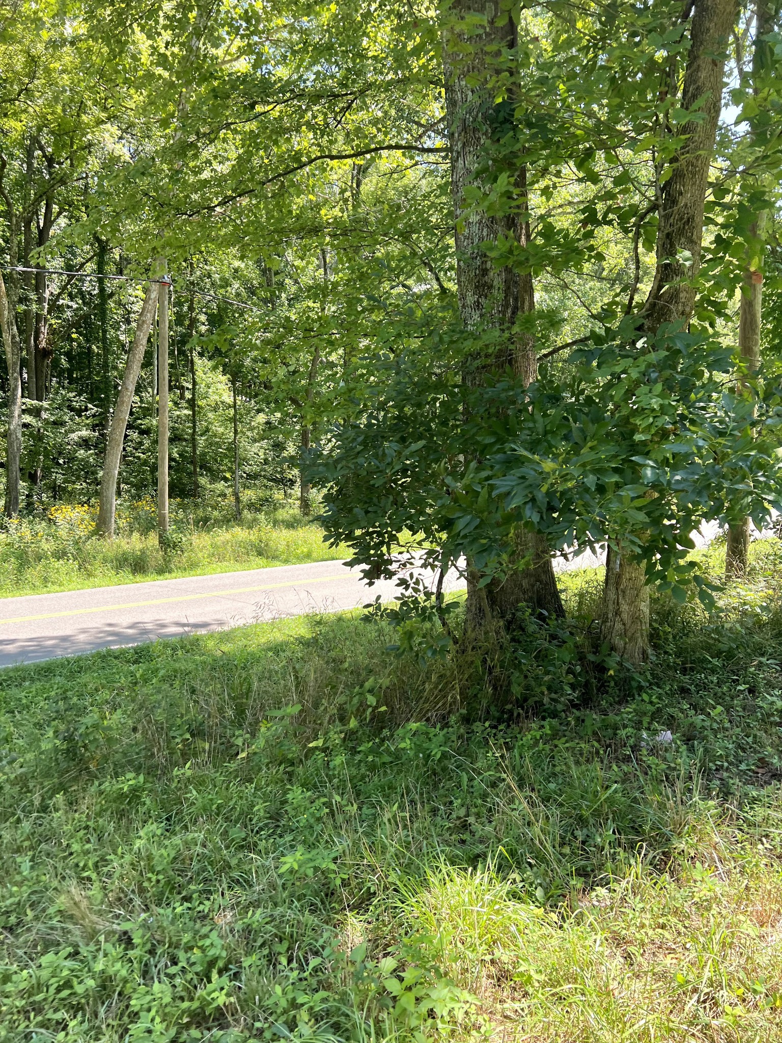 0 Keytown Road Portland, TN 37148 - Photo 6 of 12