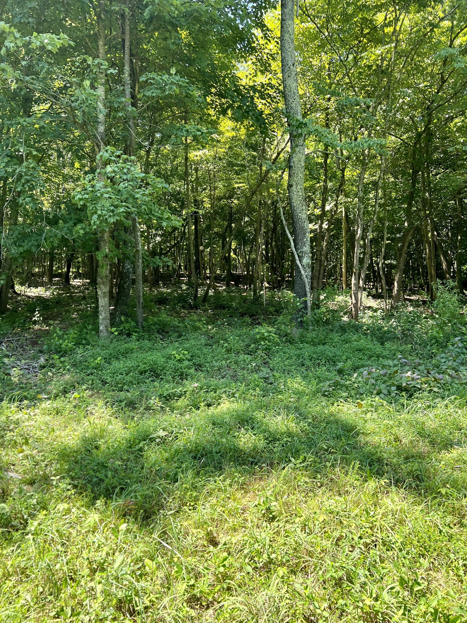 0 Keytown Road Portland, TN 37148 - Photo 7 of 12