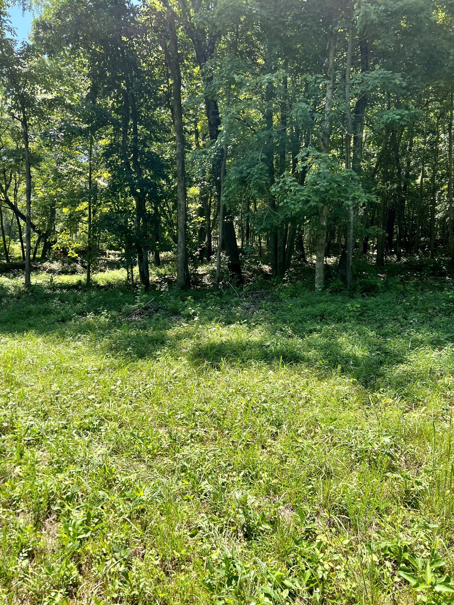 0 Keytown Road Portland, TN 37148 - Photo 8 of 12