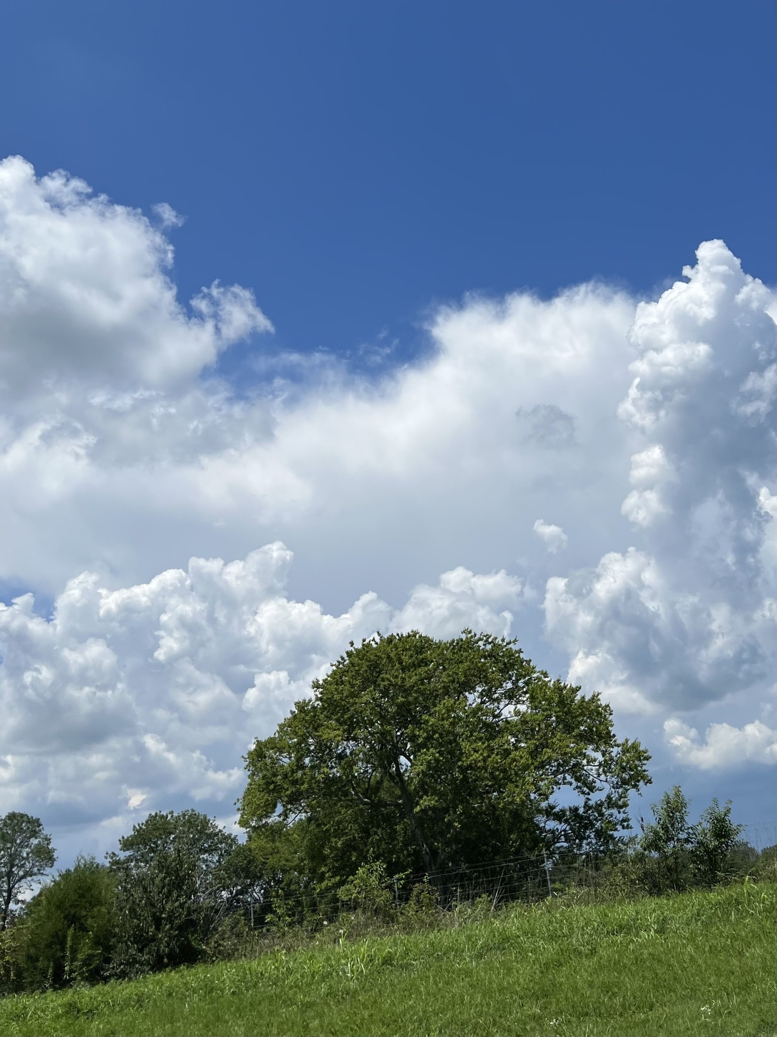 0 Keytown Road Portland, TN 37148 - Photo 9 of 12