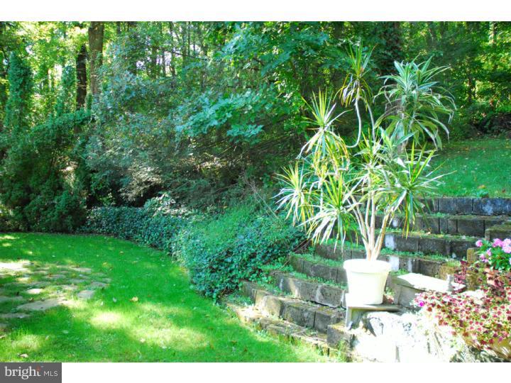 223 Chapel Hill Road Sinking Spring, PA 19608 - Photo 6 of 16 Back Yard