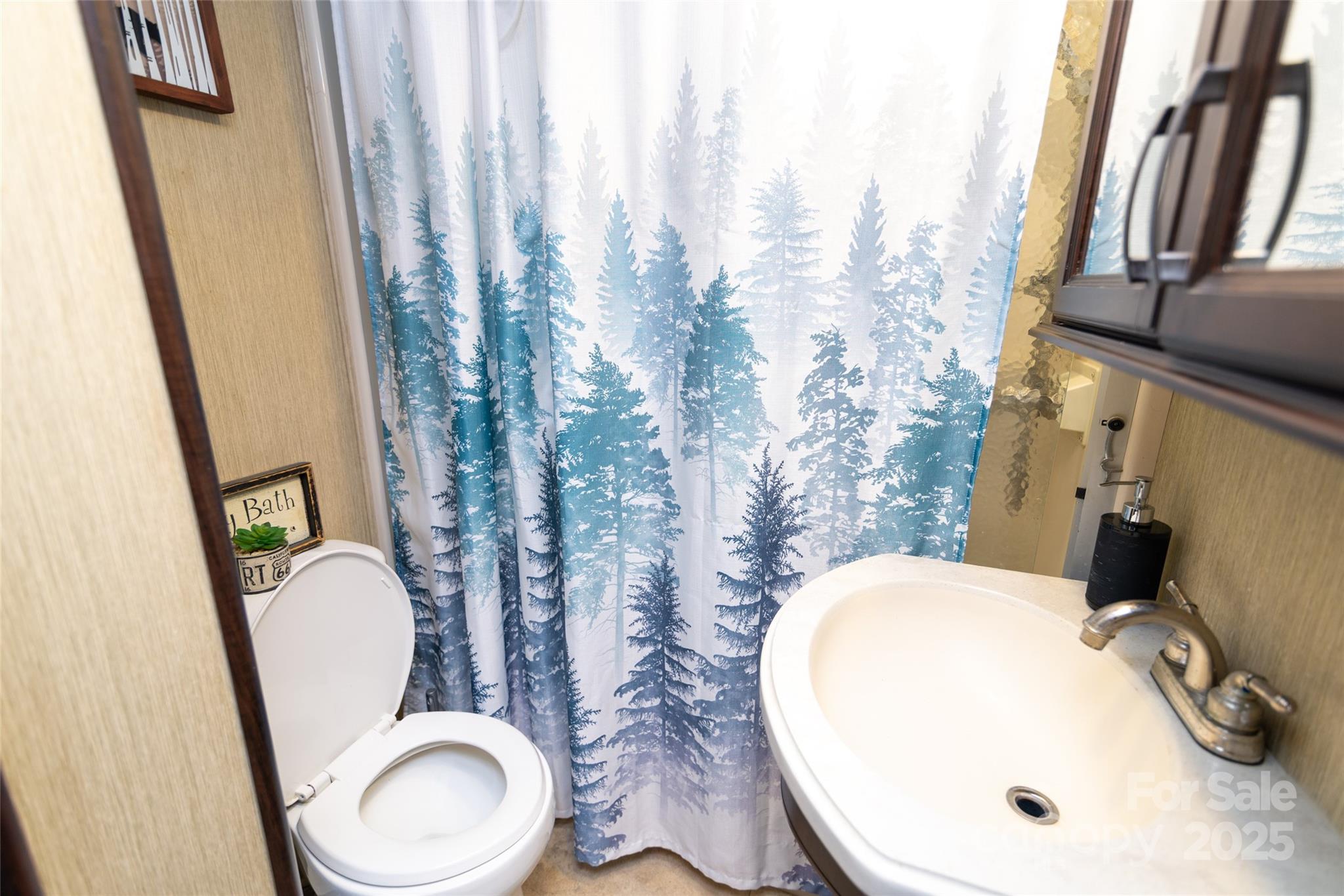 217 Mallard Loop Waynesville, NC 28785 - Photo 10 of 11 a bathroom with a toilet sink and mirror