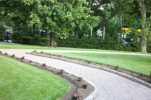 a view of a park with of trees