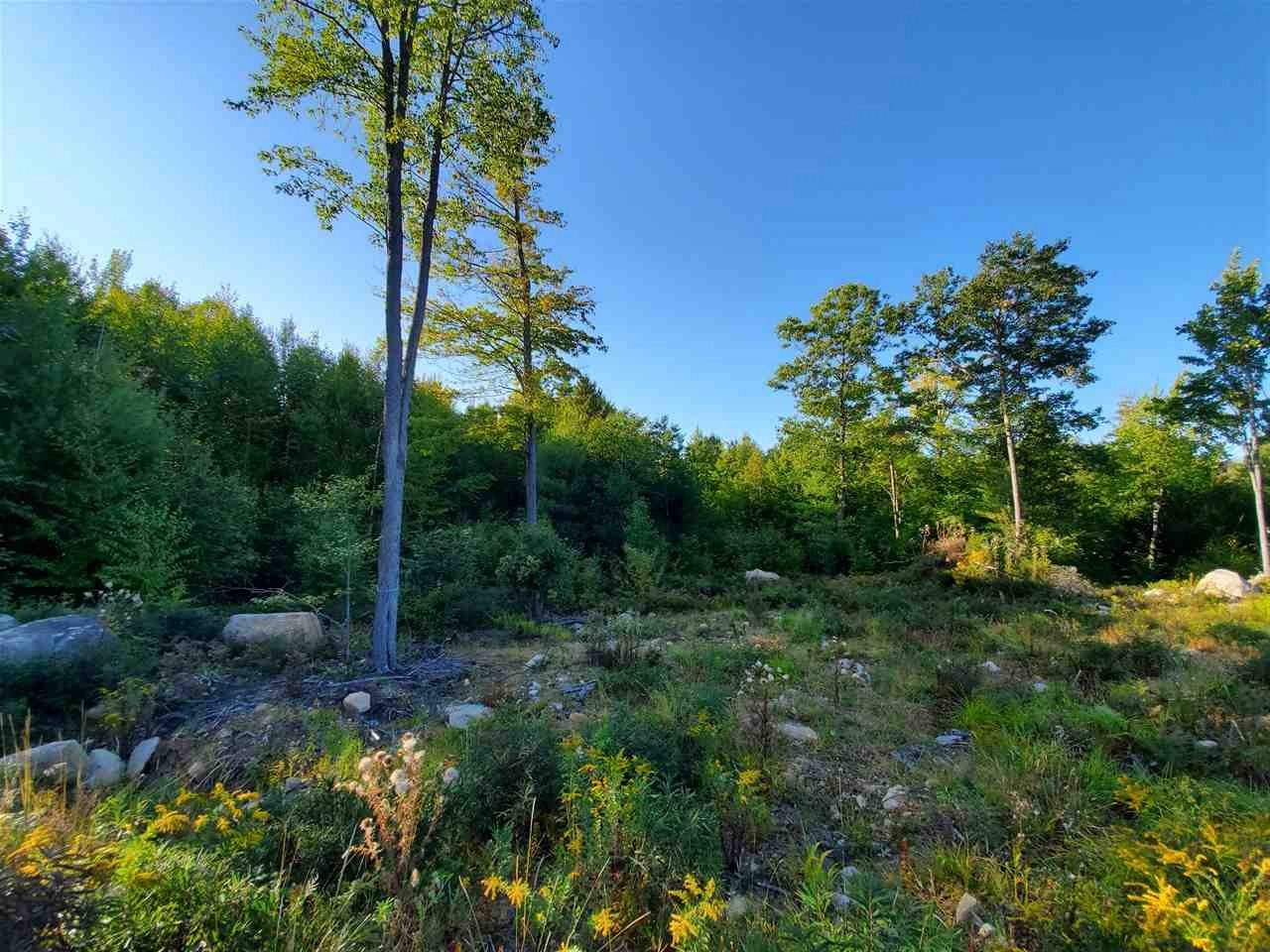 67 Berry Road, Unit 20 New Durham, NH 03855 - Photo 5 of 38