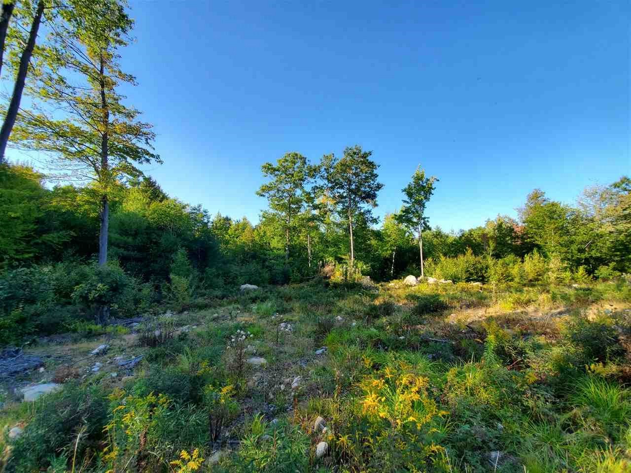 67 Berry Road, Unit 20 New Durham, NH 03855 - Photo 6 of 38