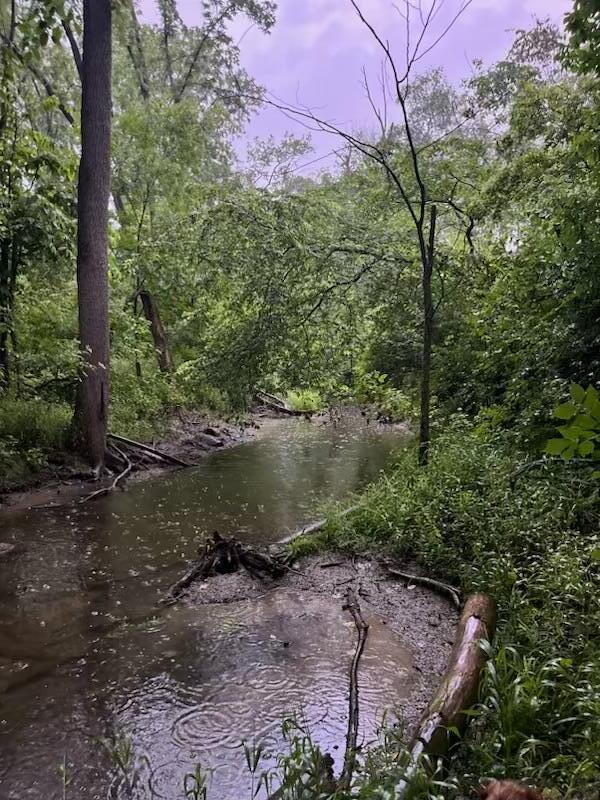 582 Dent Road Sunbury, OH 43074 - Photo 43 of 56 creek on property