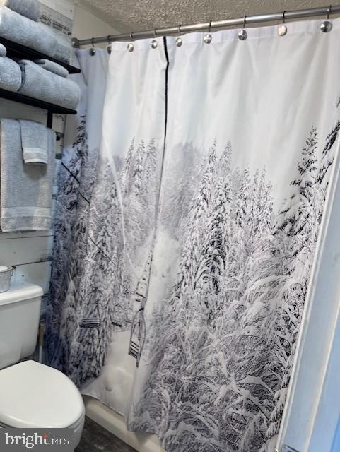 2244 Tanners Ridge Roseland, VA 22967 - Photo 23 of 31 Winter Wonderland in the Bathroom