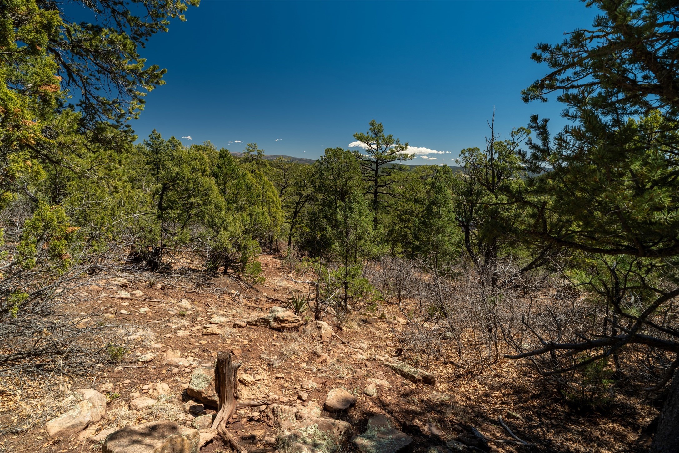 30 Monte La Cueva Road Glorieta, NM 87535 - Photo 74 of 91
