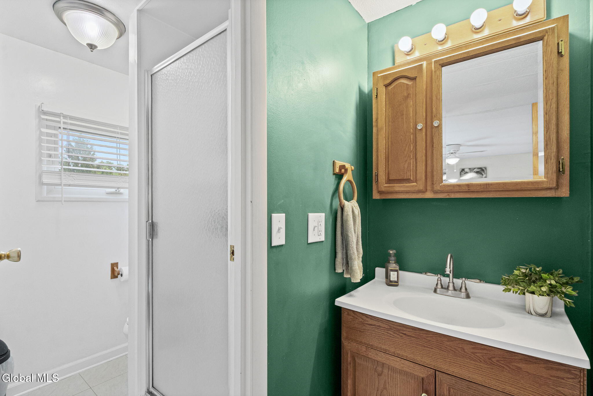 144 Haswell Road Colonie, NY 12110 - Photo 18 of 48 19-web-or-mls-144-haswell-rd