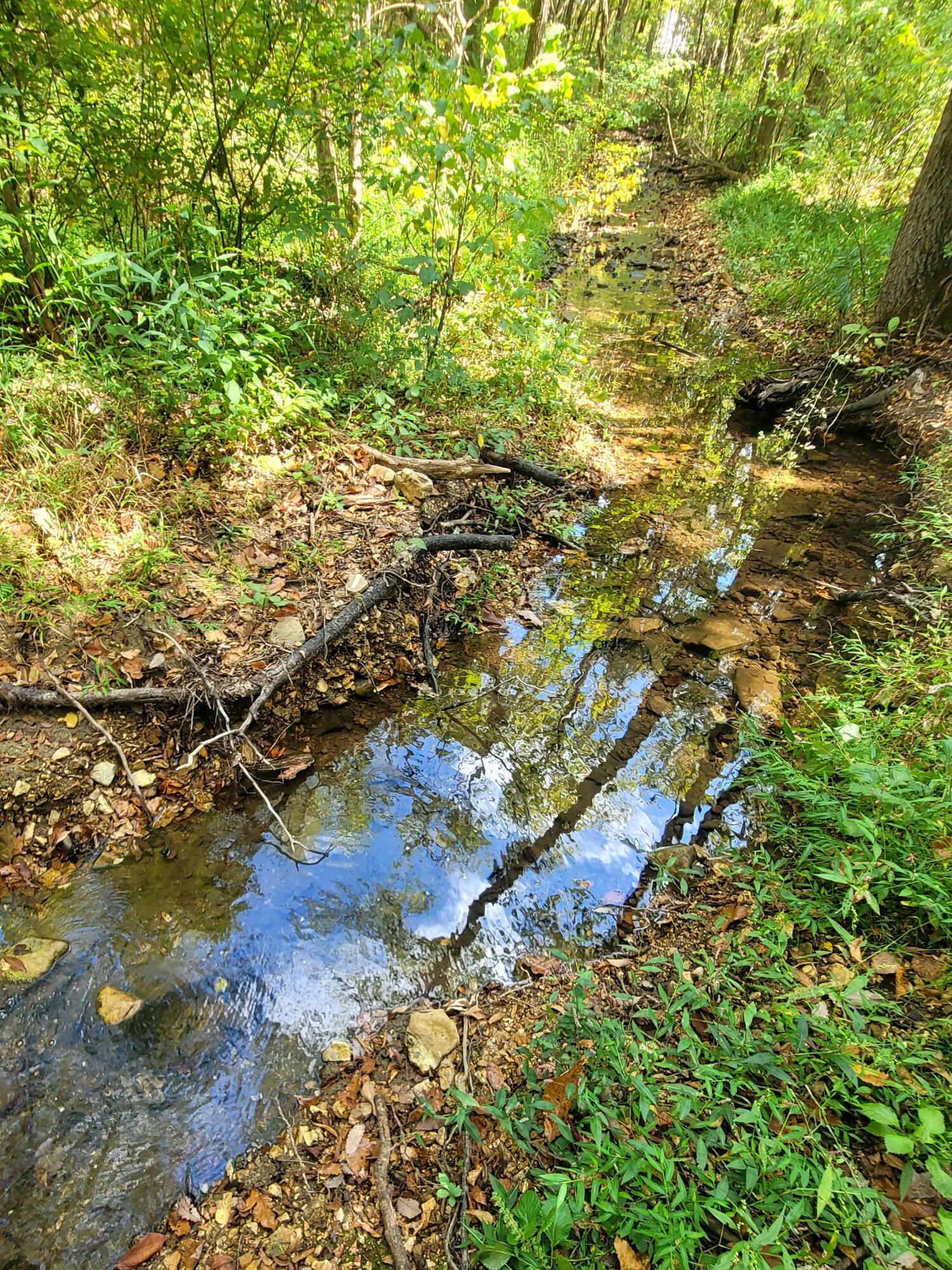 0 Dry Hollow Road Chestnutridge, MO 65630 - Photo 5 of 44 20250919_114814
