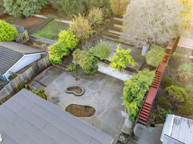 a view of a backyard with plants