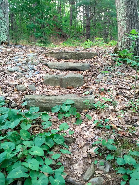 0 Heal Shore Road Liberty, ME 04949 - Photo 3 of 6 The steps leading down to the lot...