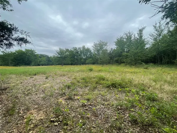 a view of a field with an trees in the background