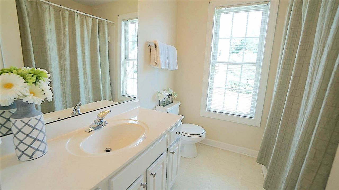 1331 Pendula Path Apex, NC 27502 - Photo 18 of 30 Photo 18