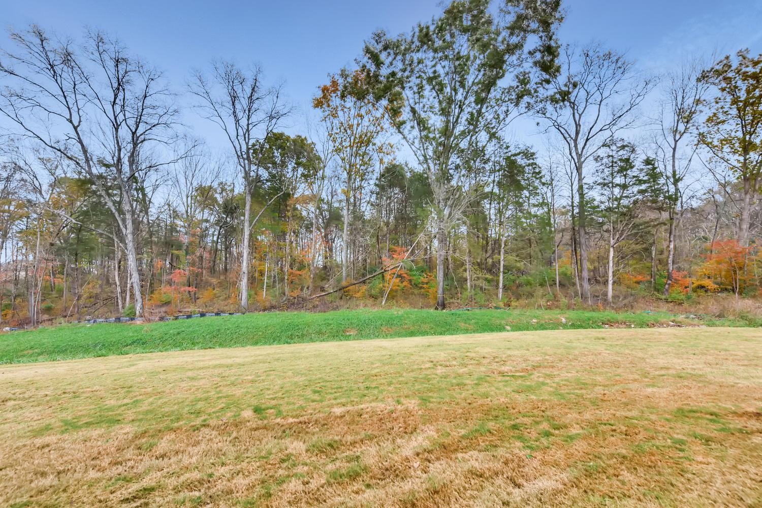 1471 Old Stone Road Lebanon, TN 37087 - Photo 22 of 27 a view of a park and trees