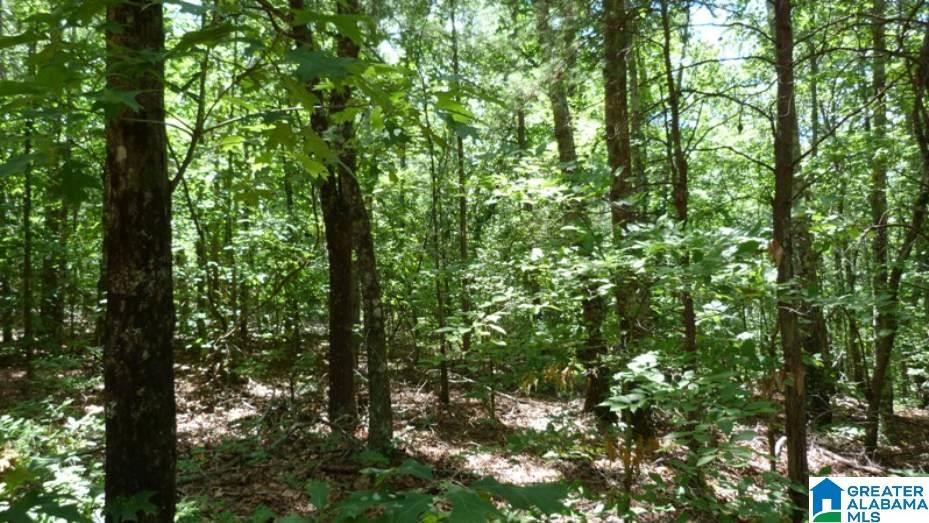 Indian Creek Road, Unit 26 Lineville, AL 36266 - Photo 4 of 4