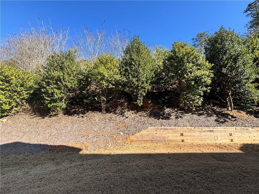 122 Mill Pond Lane Calhoun, GA 30701 - Photo 33 of 33