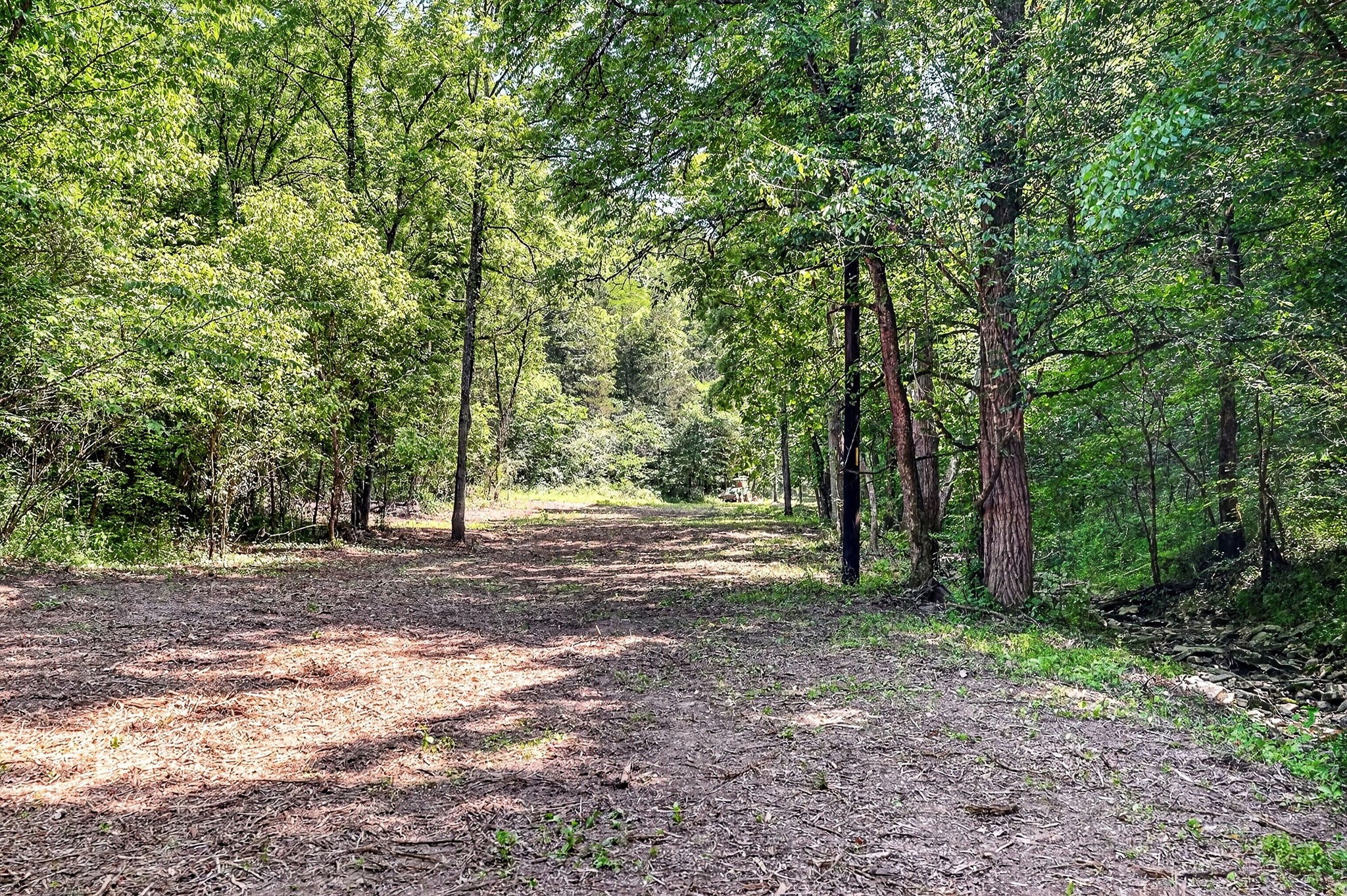 2926 Bryant Ridge Road Baxter, TN 38544 - Photo 18 of 64