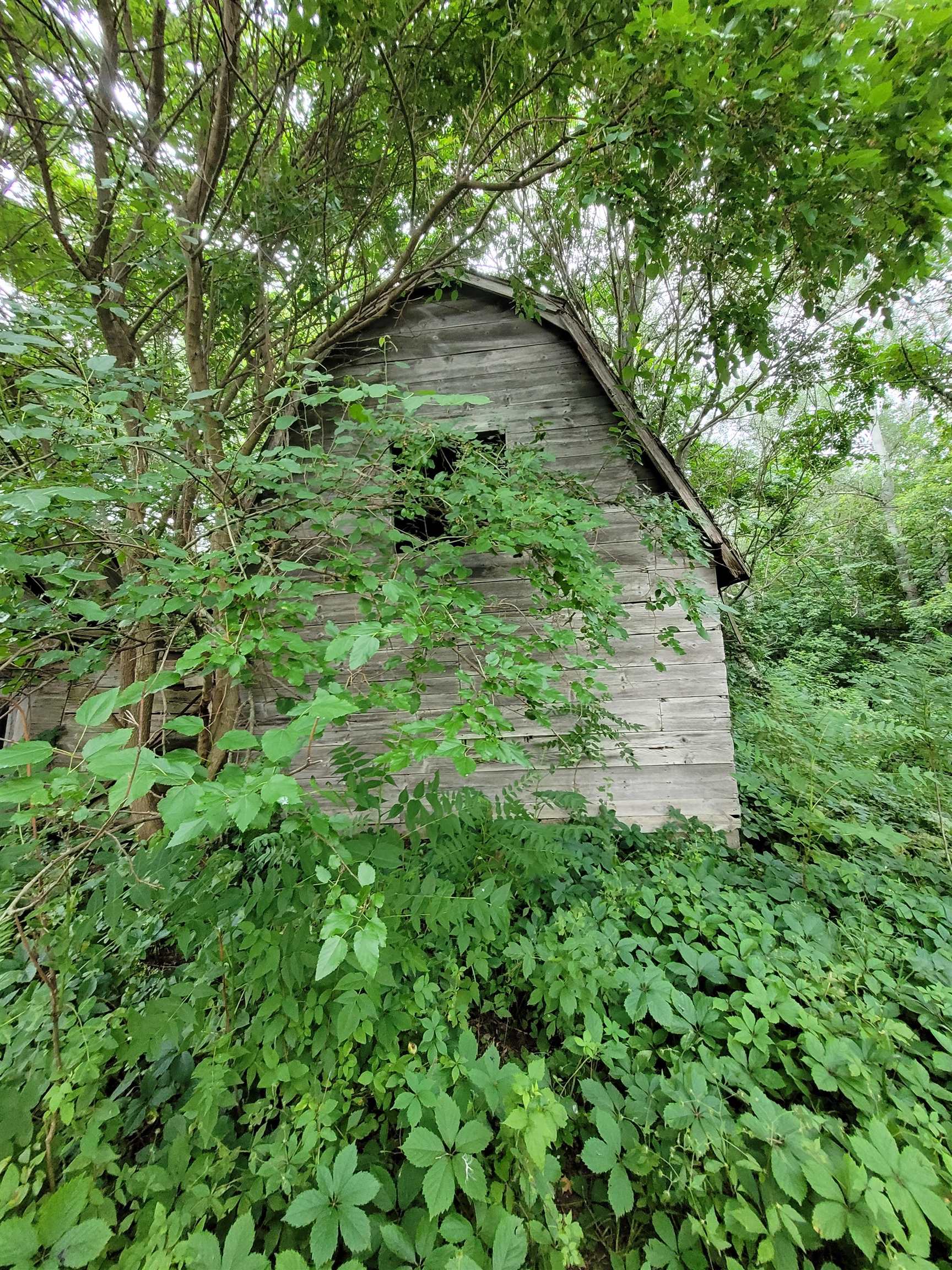 11039 South Wise Road St. Louis, MI 48880 - Photo 8 of 8 1924133-5fcafba1-d0e4-458b-9495-f0be959e40fc.JPG