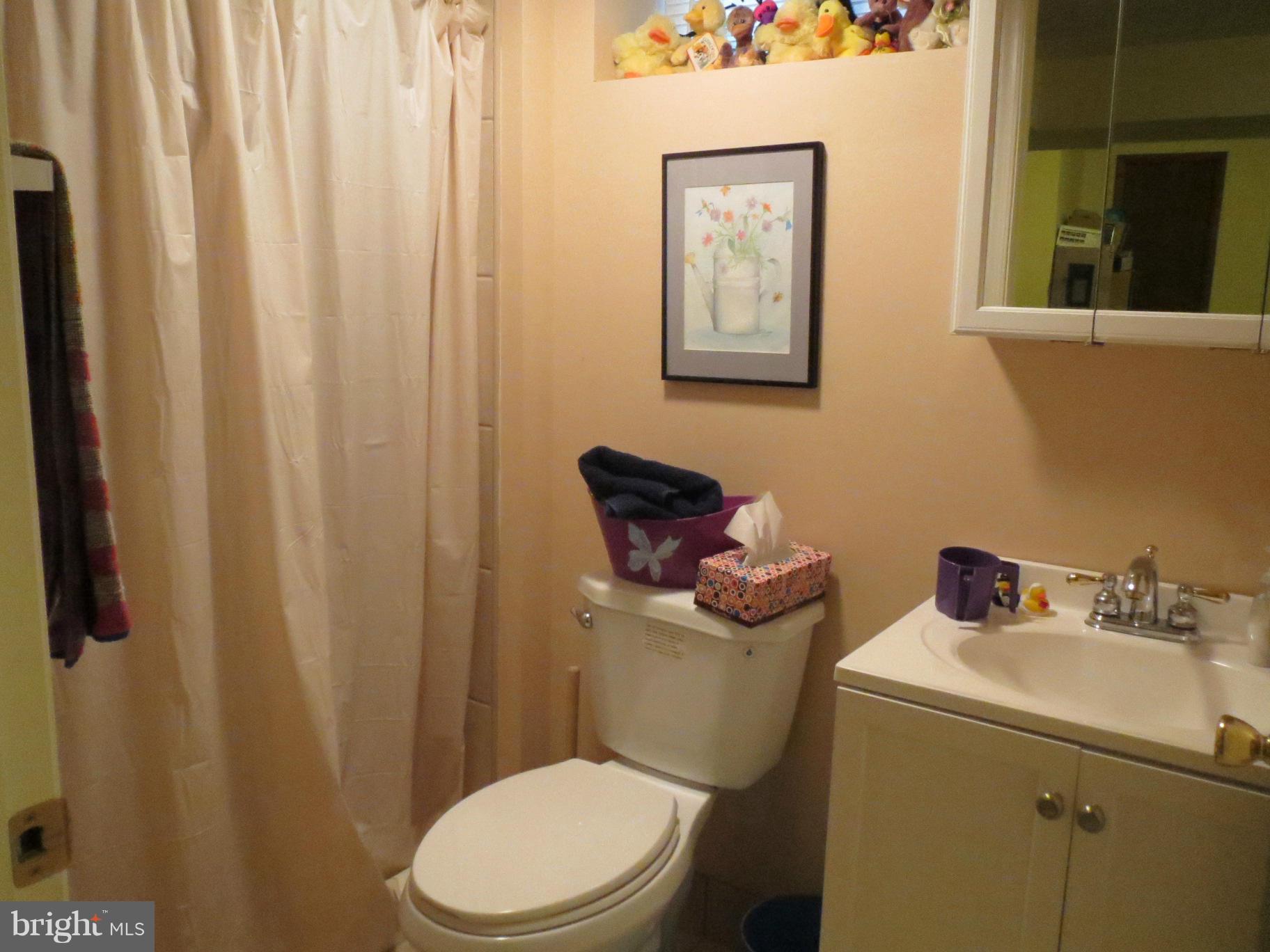 6022 Highgate Drive Baltimore, MD 21215 - Photo 14 of 15 Bath