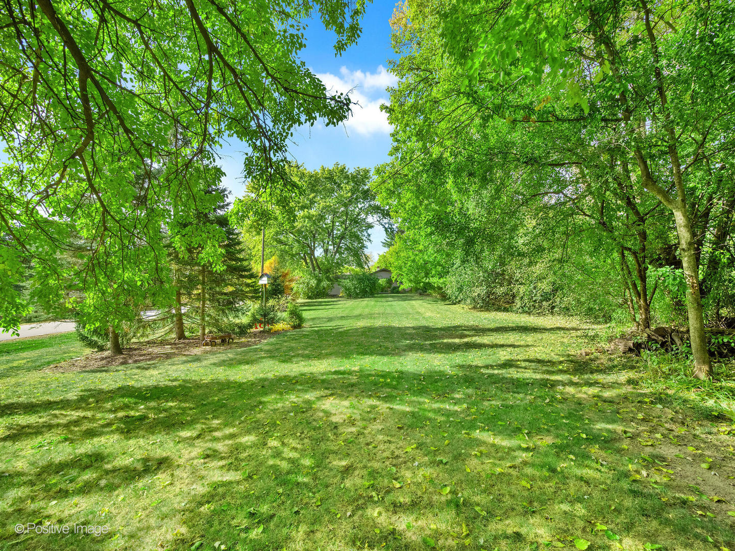 6029 Pershing Avenue Downers Grove, IL 60516 - Photo 15 of 18