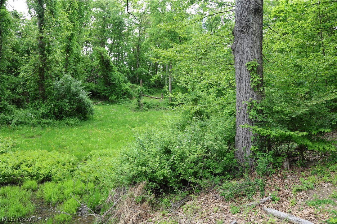61342 High Hill Road Cambridge, OH 43725 - Photo 29 of 37