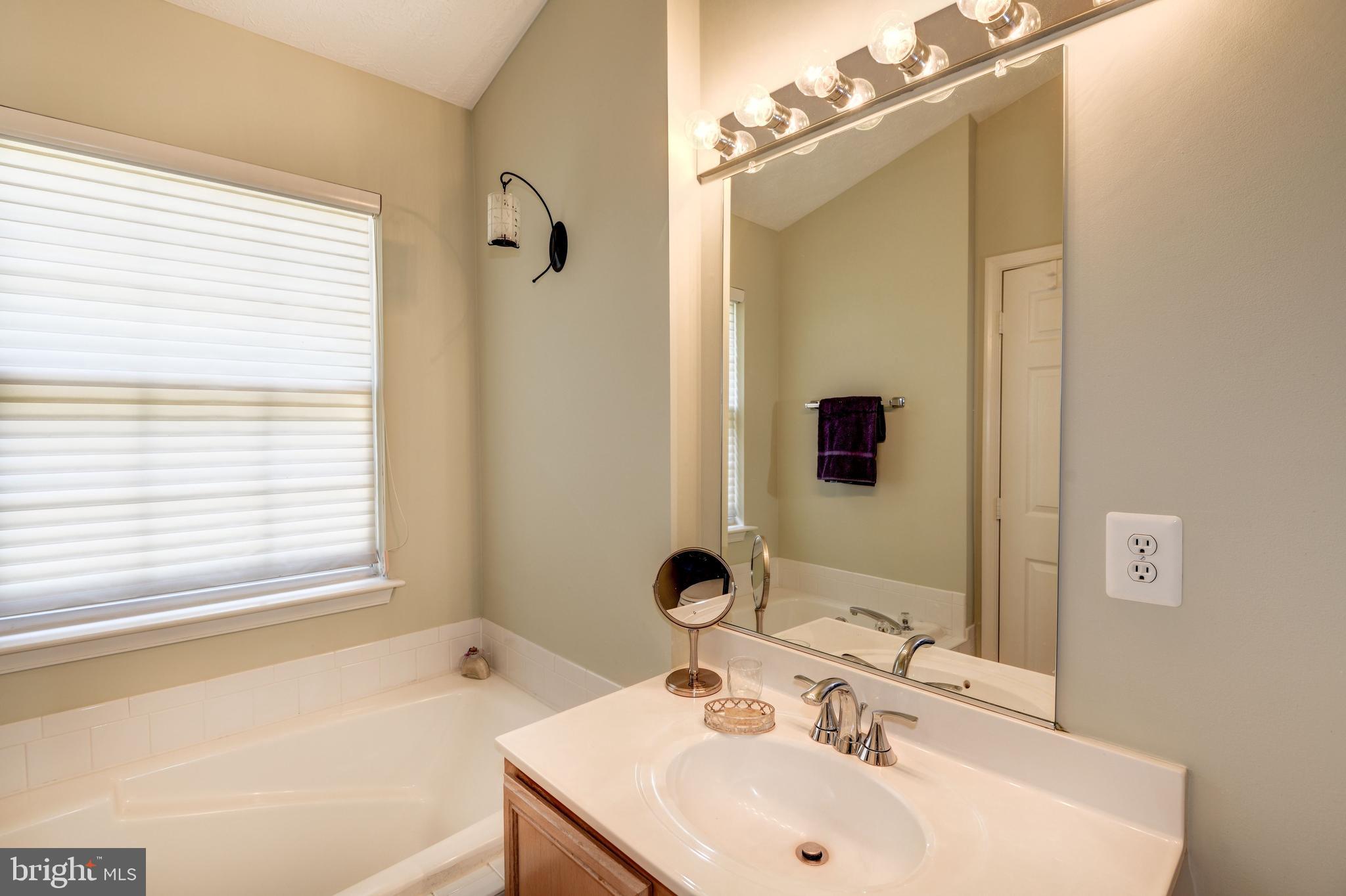 3215 Escapade Circle Riva, MD 21140 - Photo 19 of 32 Master Bath