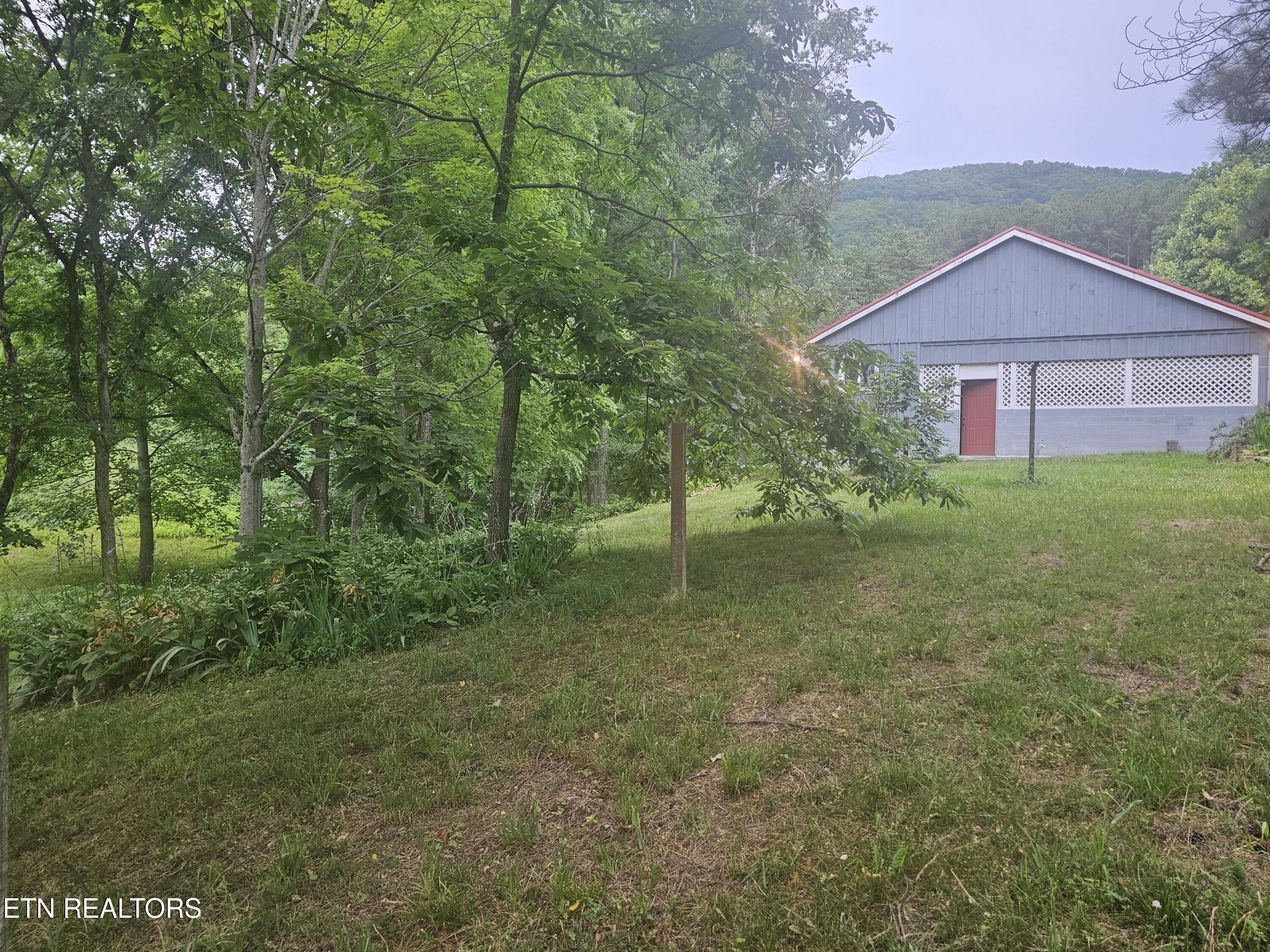 925 Tweed Springs Road Greeneville, TN 37743 - Photo 46 of 53 20260618_175630