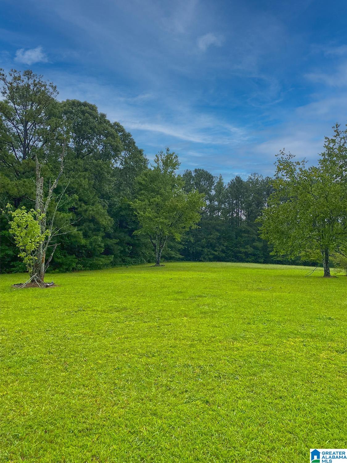 9650 Bluff Springs Road Cragford, AL 36255 - Photo 24 of 24