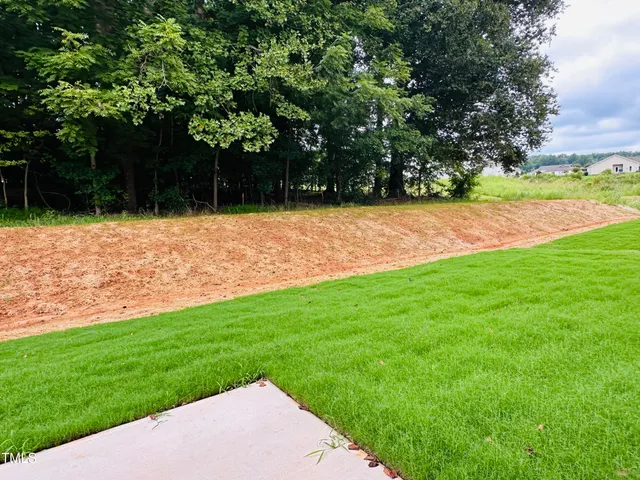 a backyard of a house with lots of green space