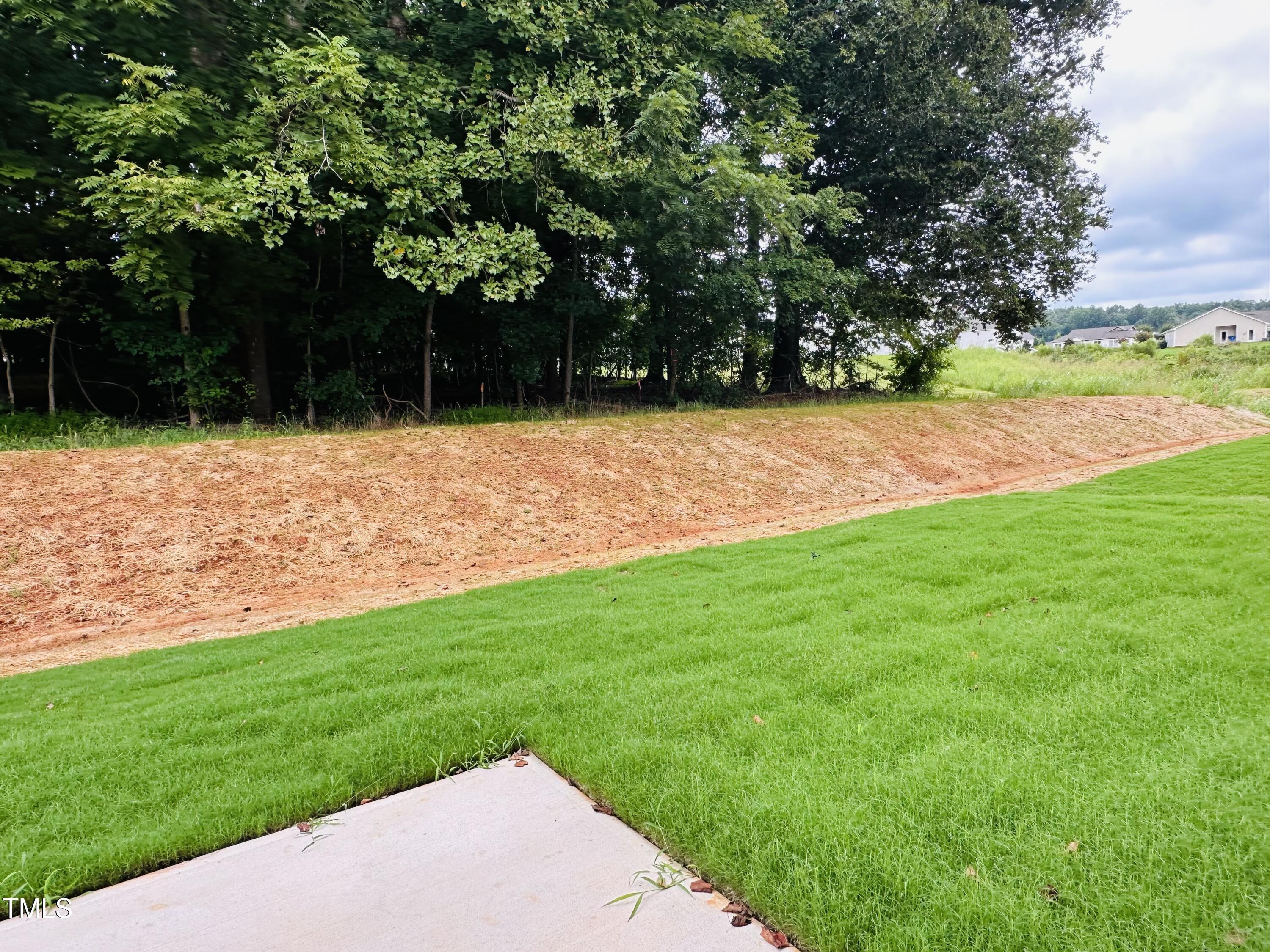 306 Shiloh Way Mebane, NC 27302 - Photo 28 of 33 a backyard of a house with lots of green space