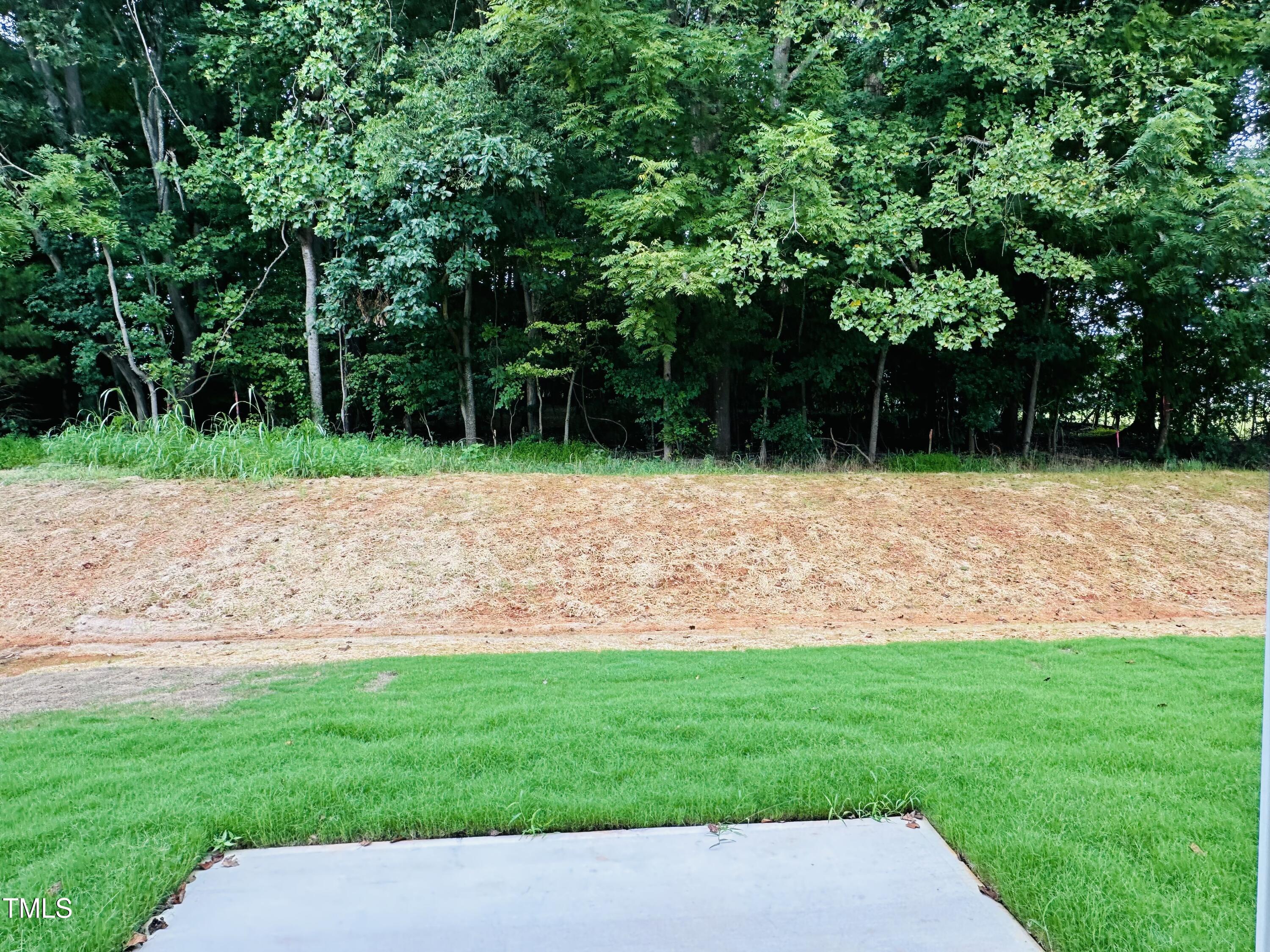 306 Shiloh Way Mebane, NC 27302 - Photo 29 of 33 a backyard of a house with lots of green space