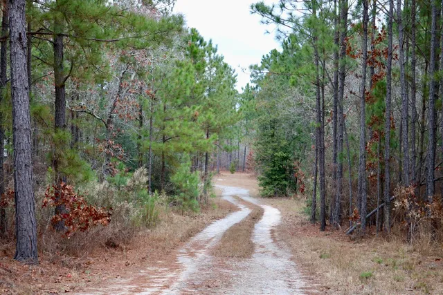 $324,900 | 1661 Old Shoals Road, Monetta, SC 29105