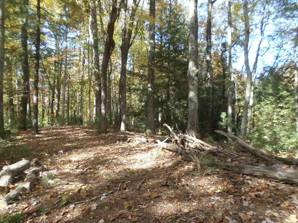 1414 Heizer Hill Road Wellington, KY 40387 - Photo 28 of 46 Photo 28