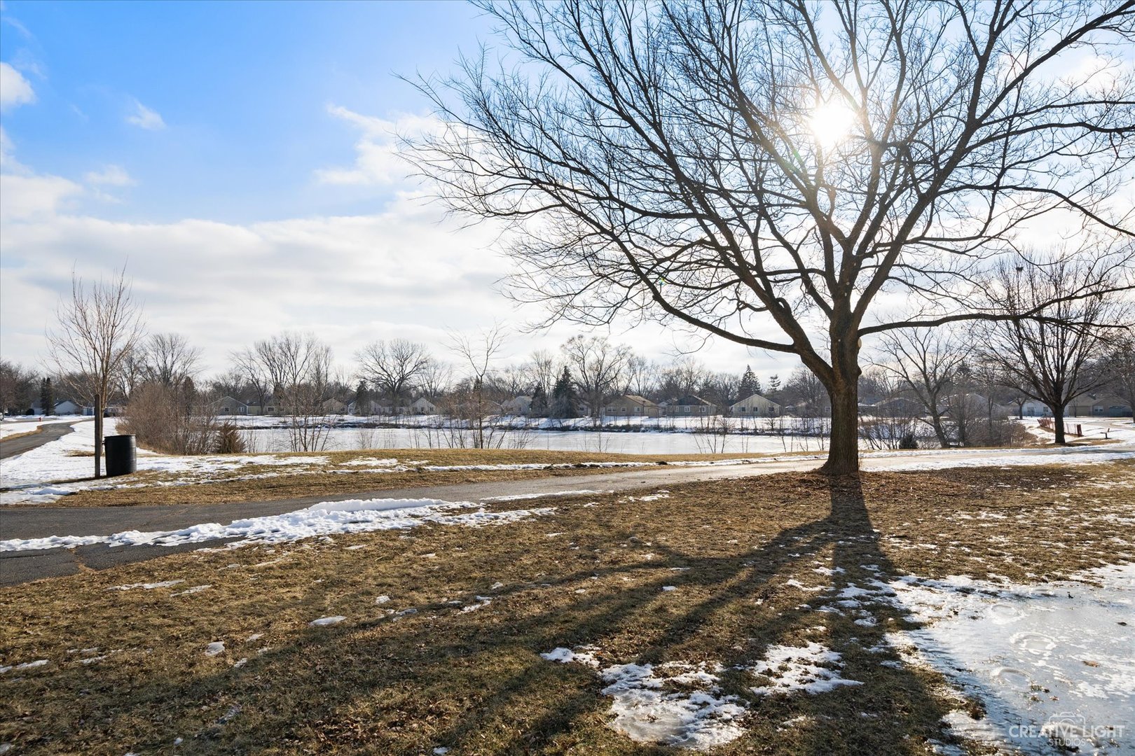 135 Heathgate Road Montgomery, IL 60538 - Photo 15 of 17 a view of yard with trees