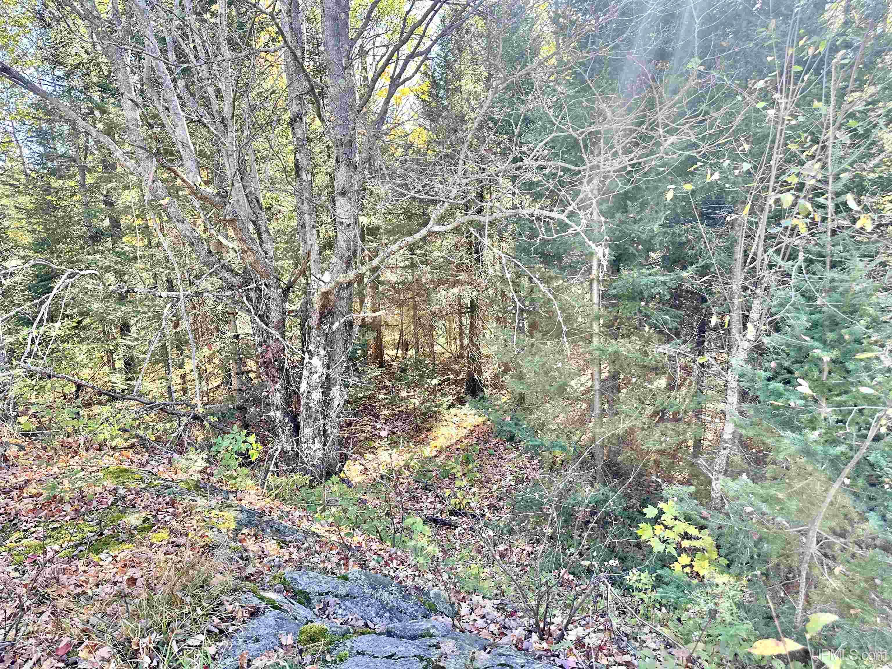 Tbd South Johnson Road Bessemer, MI 49911 - Photo 18 of 29 Gallery Image 18
