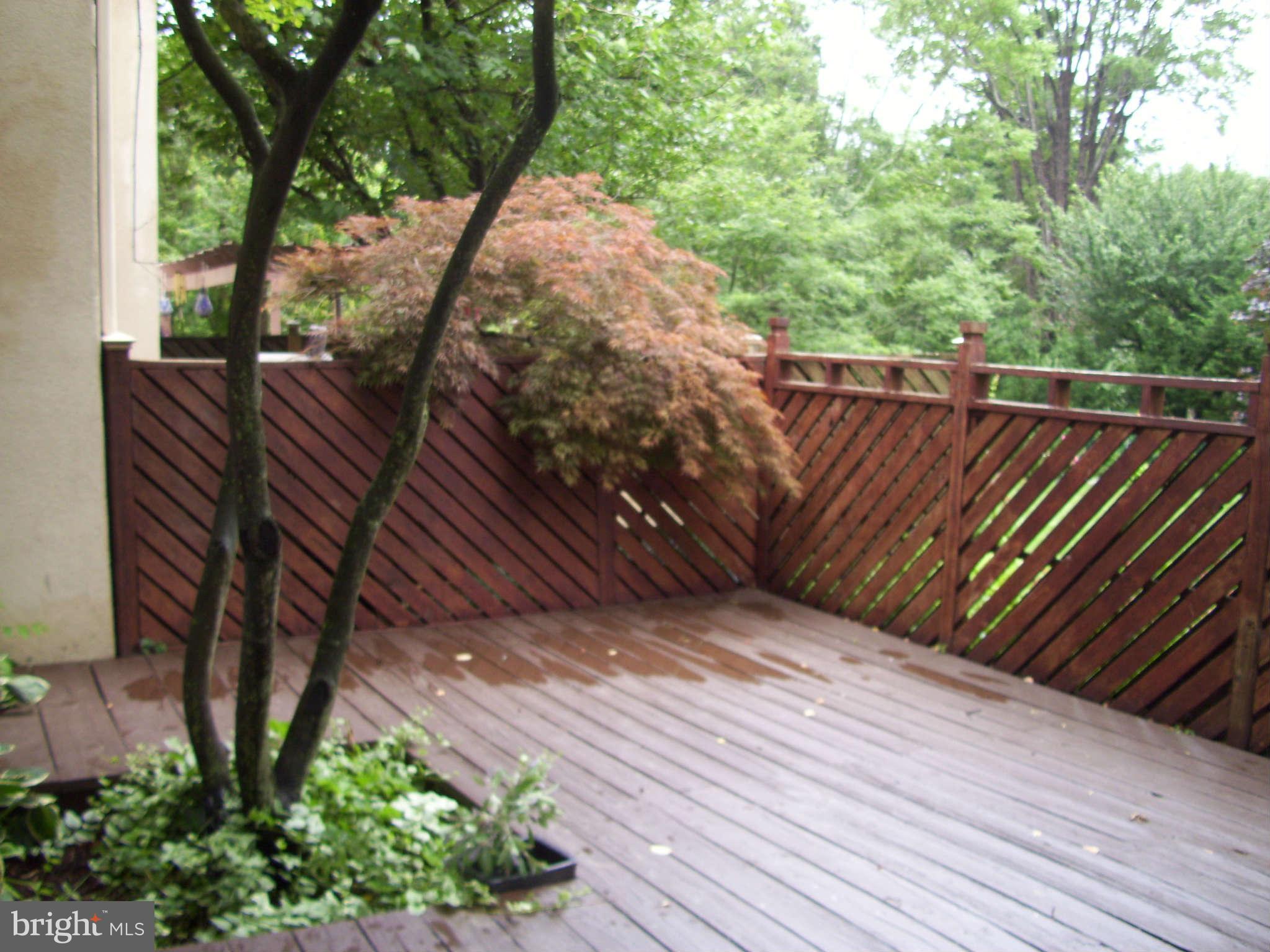 4340 Roland Springs Drive Baltimore, MD 21210 - Photo 24 of 28 Exterior Rear