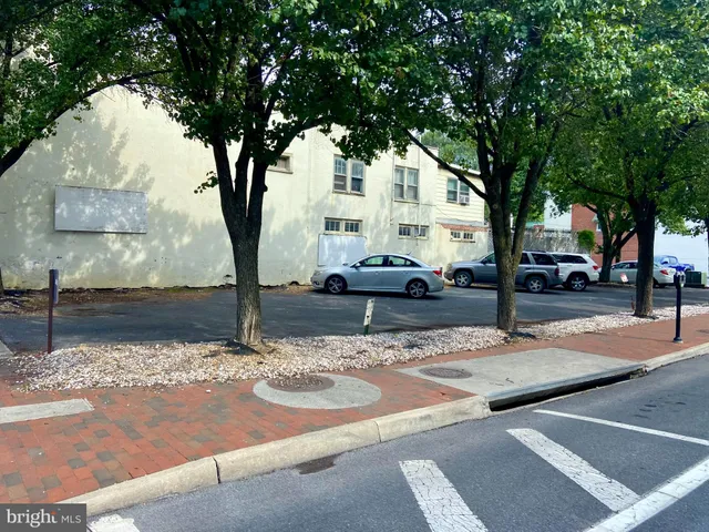 a street view with large trees