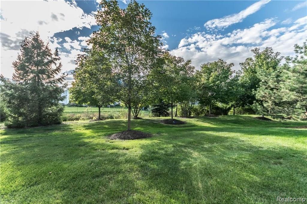 430 Cherry Grove Road Canton, MI 48188 - Photo 29 of 32