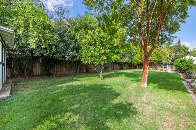 a view of a backyard with large trees