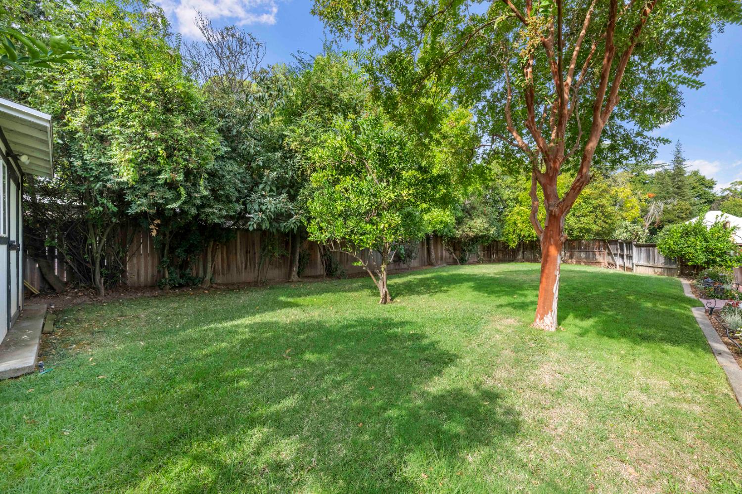 1325 Philomene Court Carmichael, CA 95608 - Photo 36 of 40 a view of a backyard with large trees