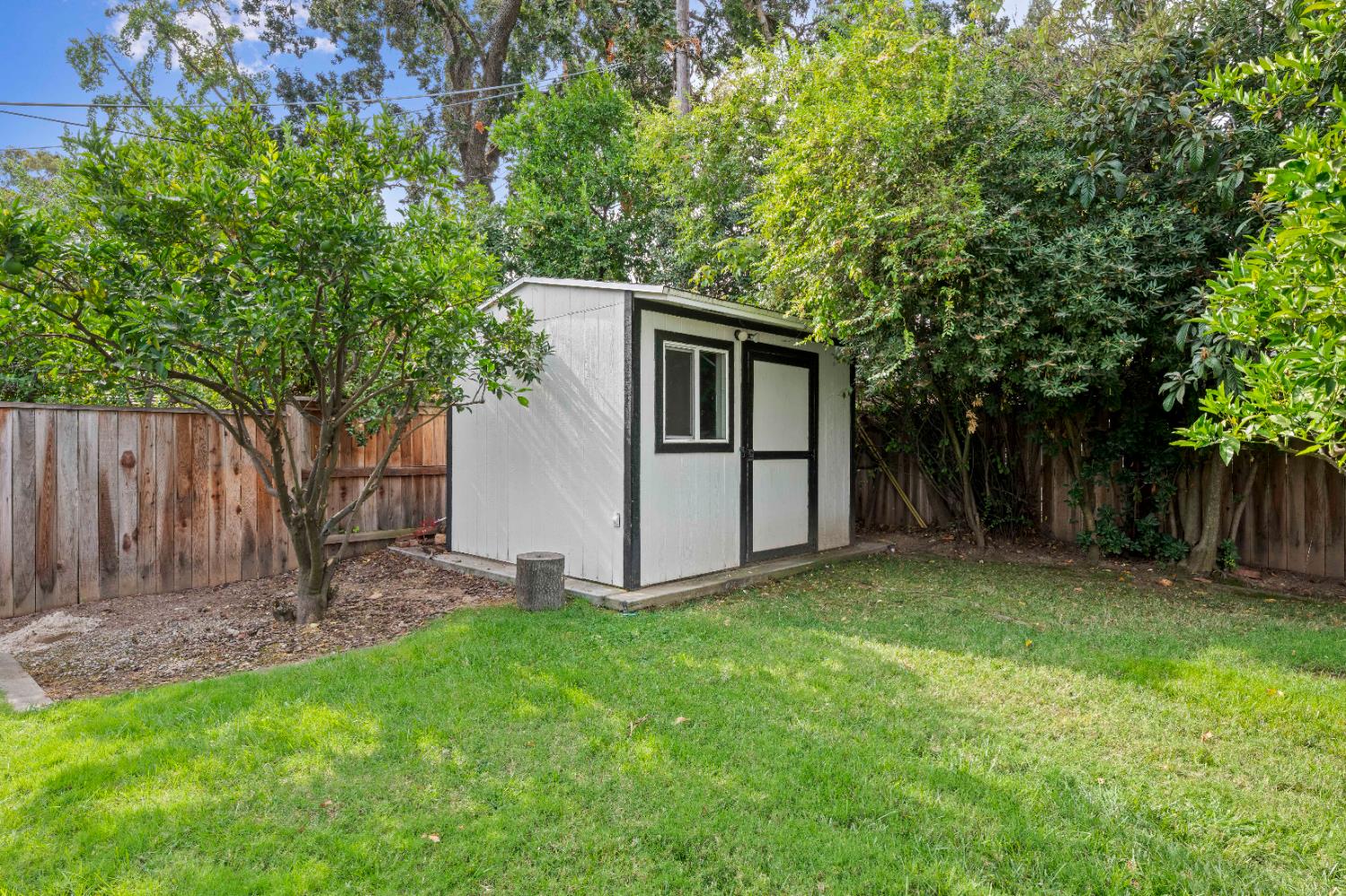 1325 Philomene Court Carmichael, CA 95608 - Photo 37 of 40 a view of a yard with a house and a large tree