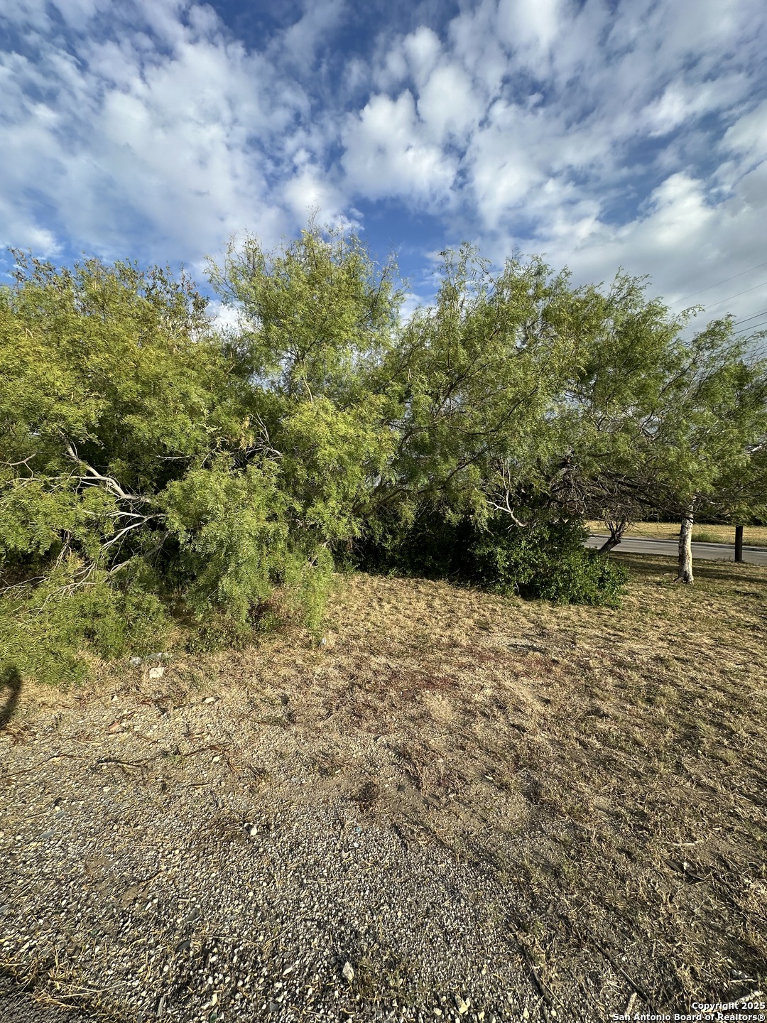 718 Hampton Street San Antonio, TX 78220 - Photo 2 of 6 a view of a bunch of trees and bushes