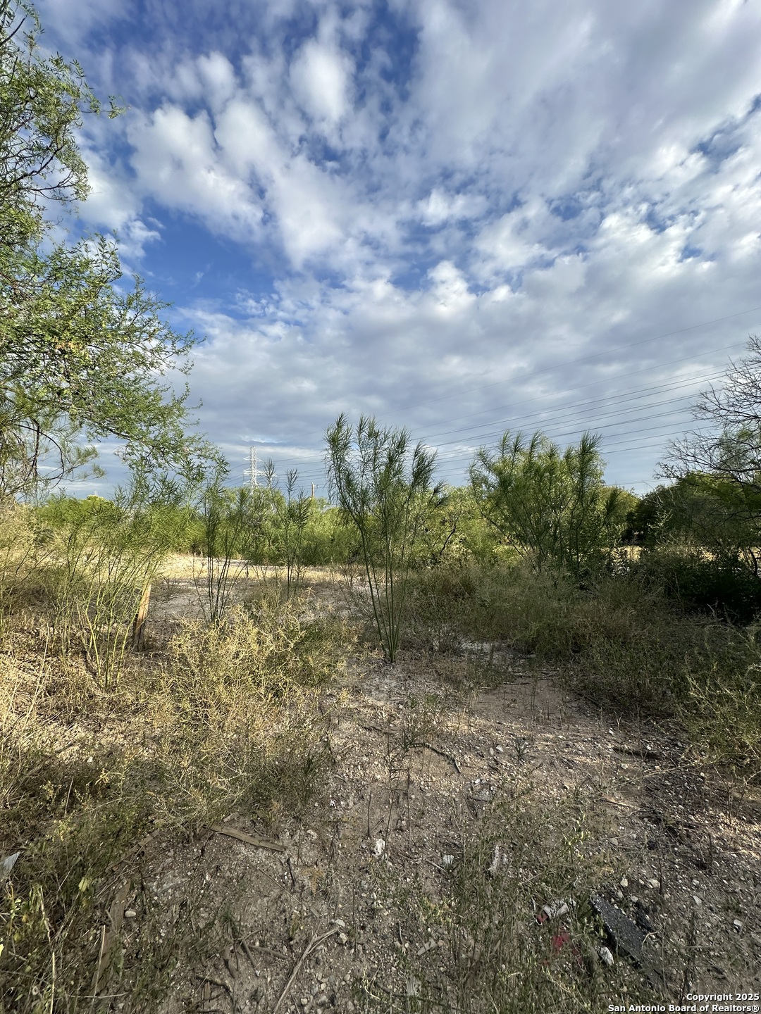 718 Hampton Street San Antonio, TX 78220 - Photo 4 of 6 a view of a field with plants and trees