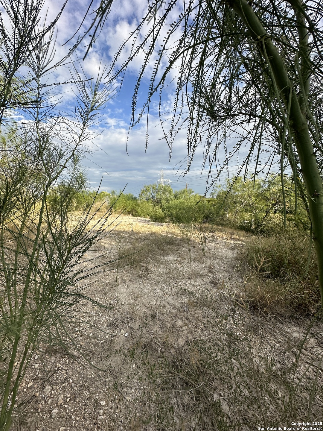 718 Hampton Street San Antonio, TX 78220 - Photo 5 of 6 a view of yard with trees