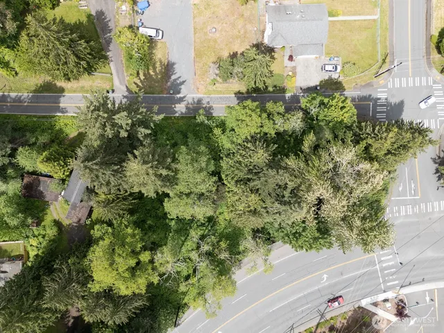 a view of a garden with a pathway