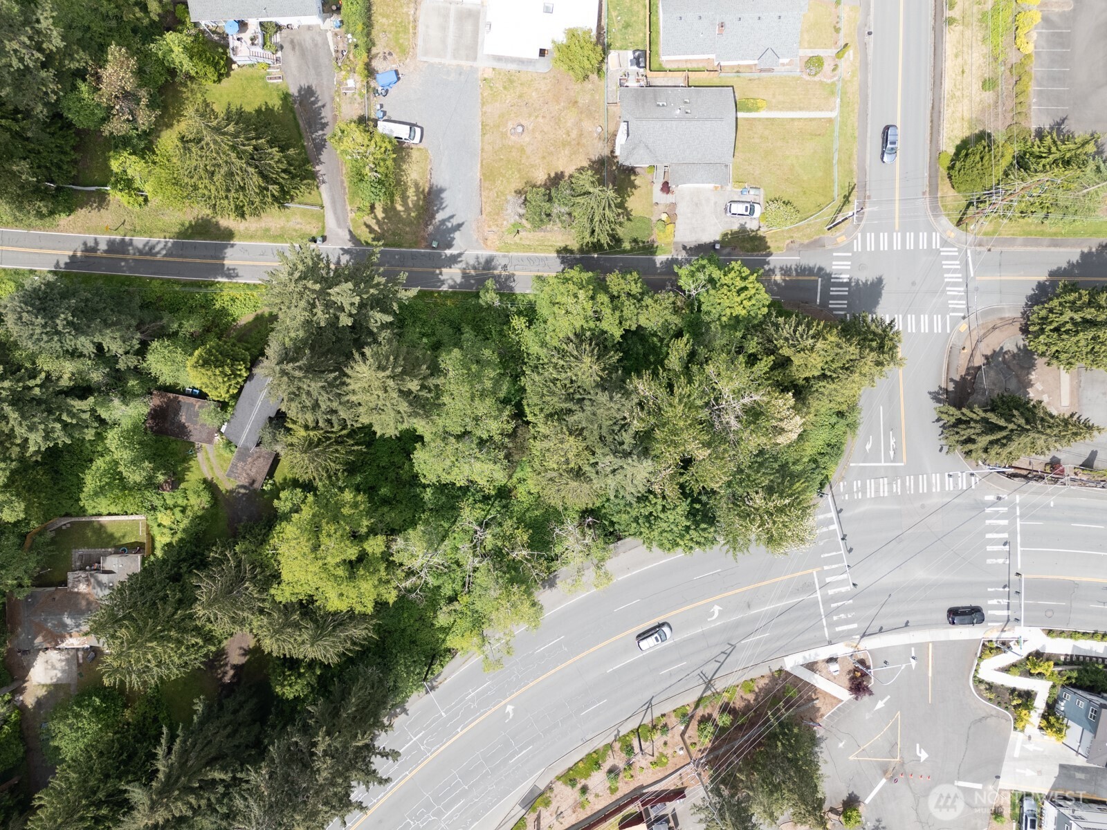 9511 Edmonds Way Edmonds, WA 98020 - Photo 4 of 7 a view of a yard with plants and large trees