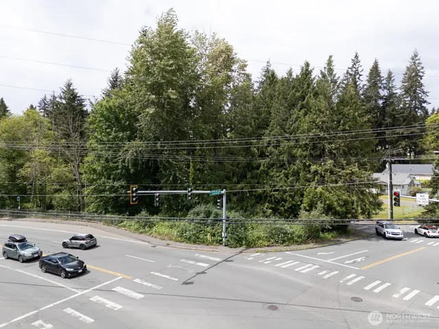 a bathroom with a shower and a view of a window
